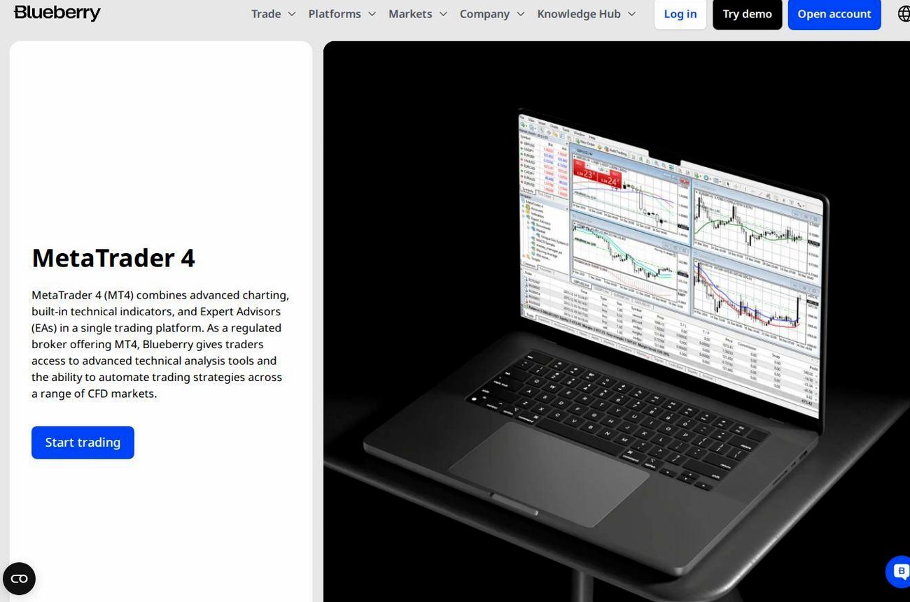 The platform page on the Blueberry Markets website