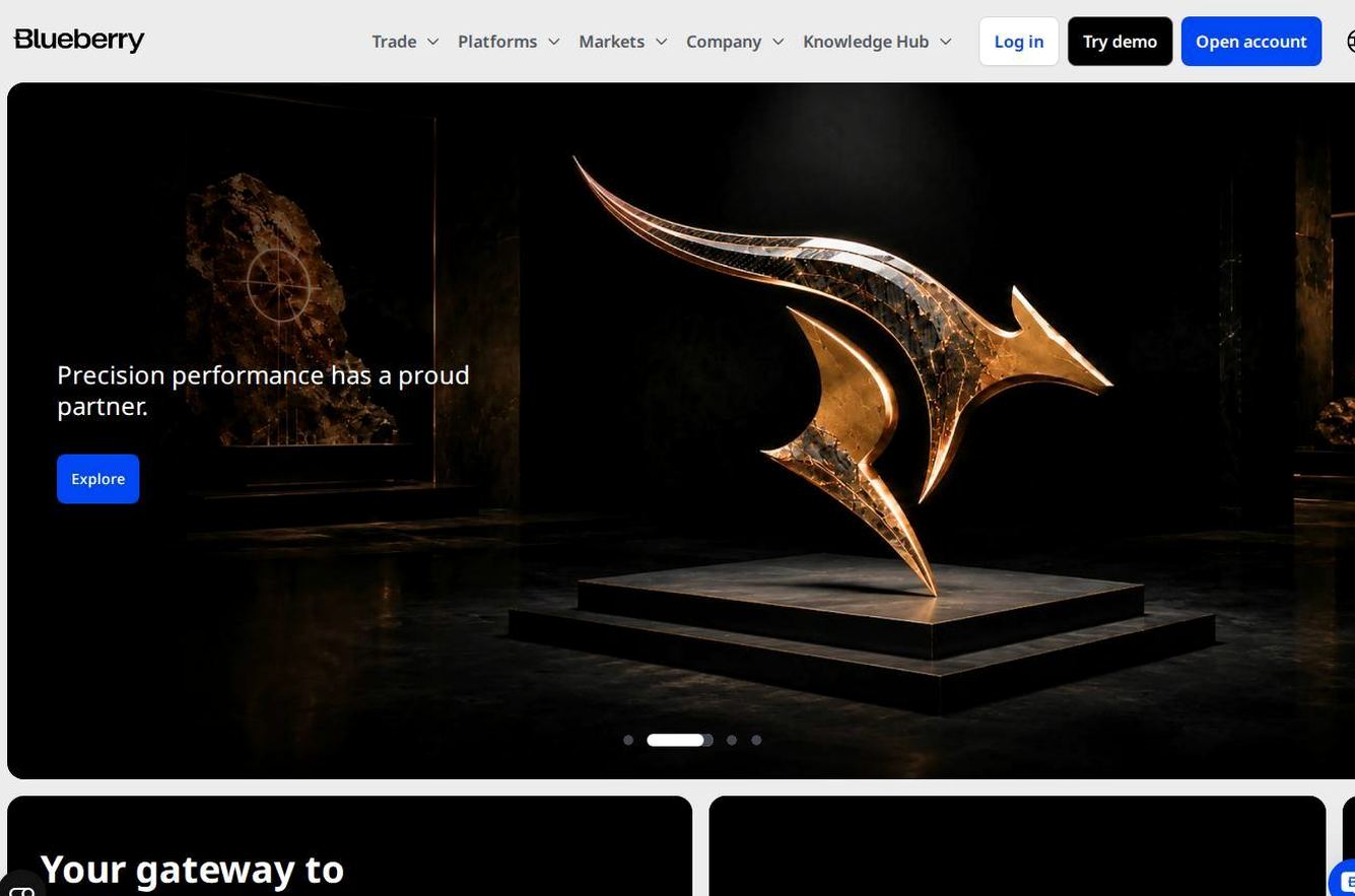 Screenshot of the Blueberry Markets website
